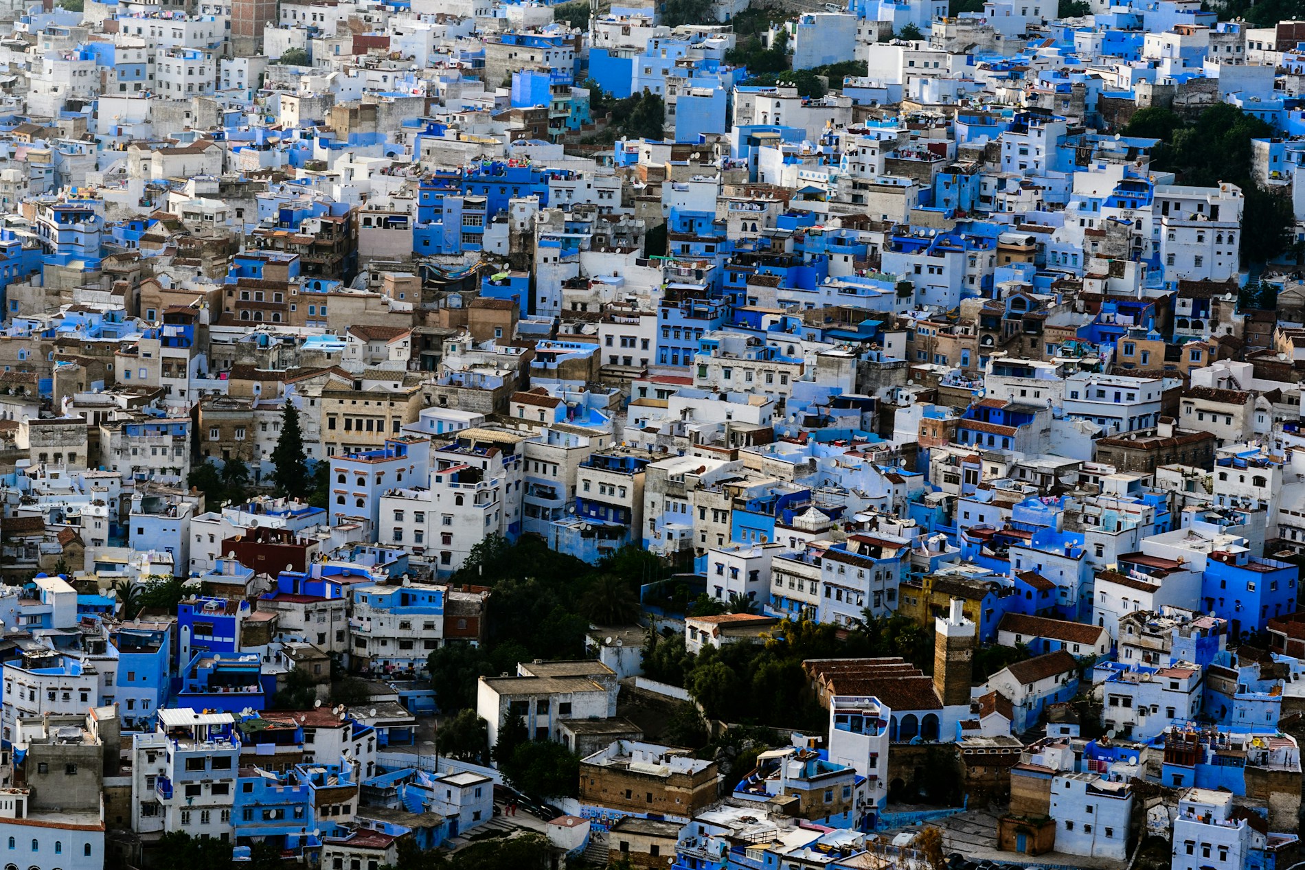 Chefchaouen hillside and blue buildings
